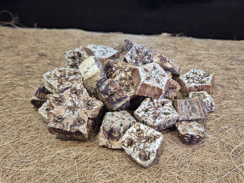 Mahogany Bean Slices natural bioactive decor and food source