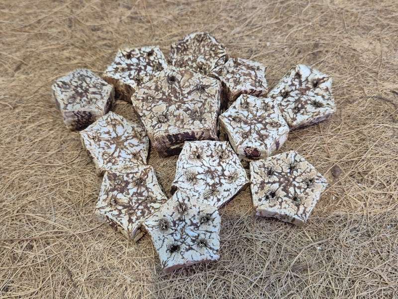 Mahogany Bean Slices natural bioactive decor and food source
