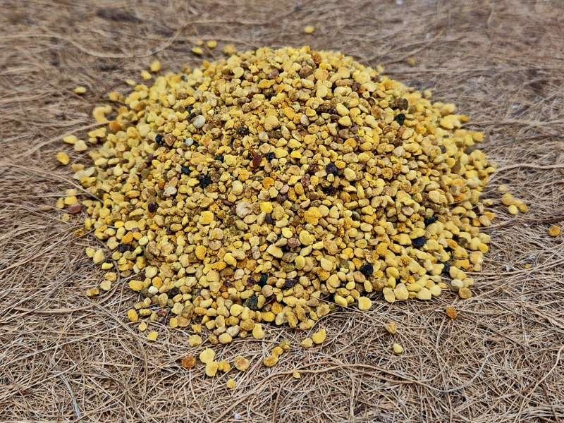 Organic Bee Pollen natural protein rich supplement for isopods and invertebrates