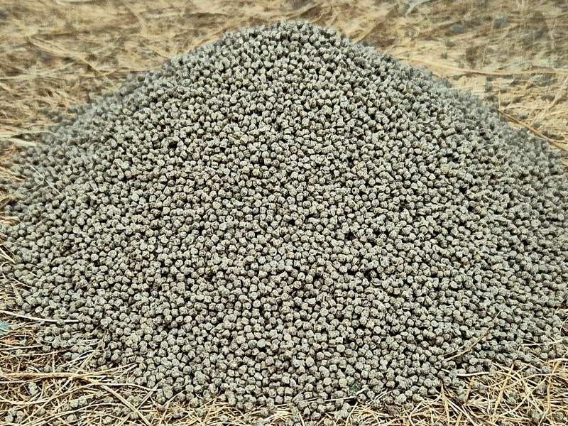 Premium Insect Granules protein-rich food supplement for isopods and bioactive invertebrates
