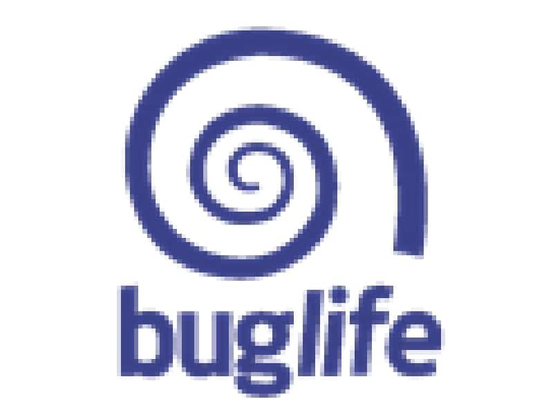 Buglife logo representing NaturesZion's commitment to invertebrate conservation and supporting the UK's only charity dedicated to bugs.