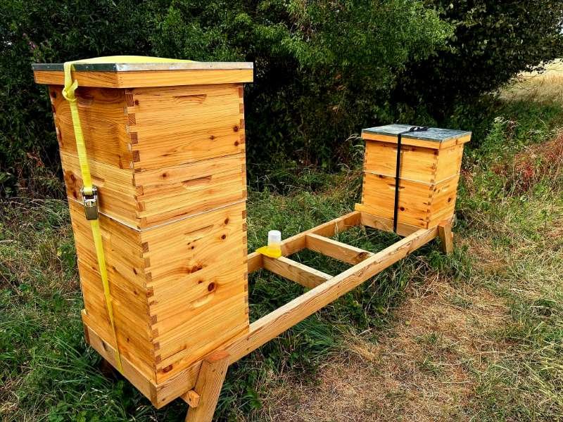 Cedar beehives at the NaturesZion Apiary, home to healthy honey bee colonies managed using sustainable beekeeping practices.
