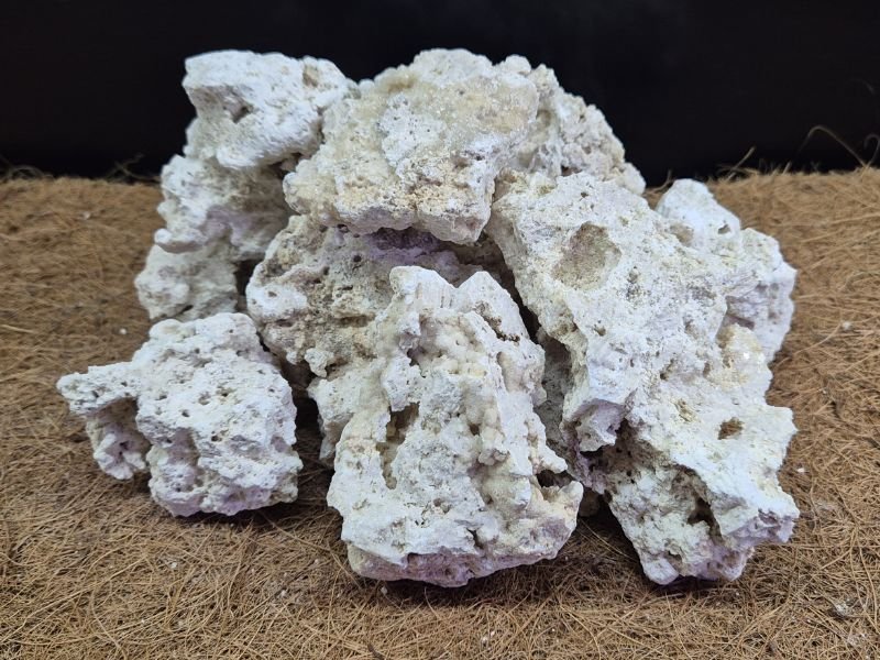 Natural Calcium Stone for isopods, millipedes and bioactive enclosures