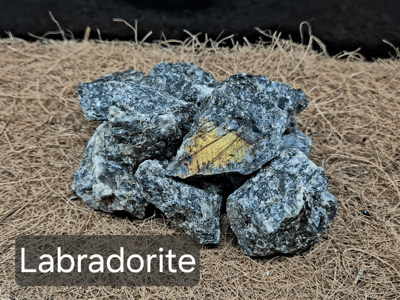 Raw Labradorite crystals for terrariums and invertebrate enclosures